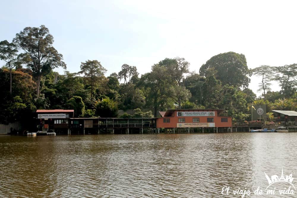 Bukit Merah Orangutan Foundation