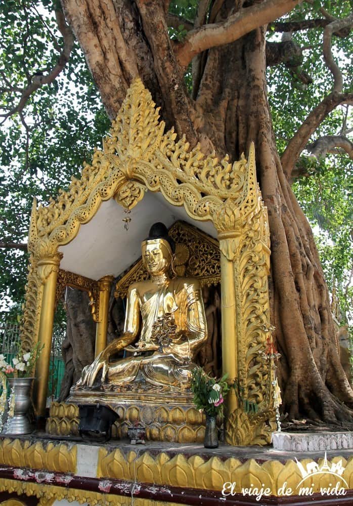 Budas de la pagoda Shwedagon