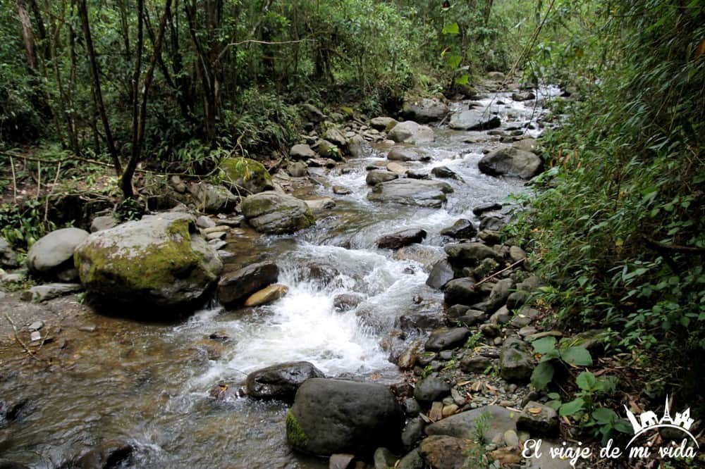 Cascada en el Valle de Cócora, Colombia
