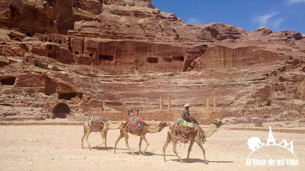 Los camellos en Petra