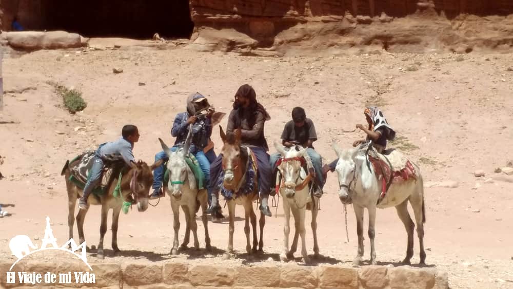Paseos en burro en Petra