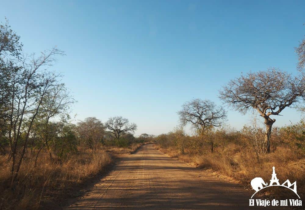 Parque Nacional de Kruger