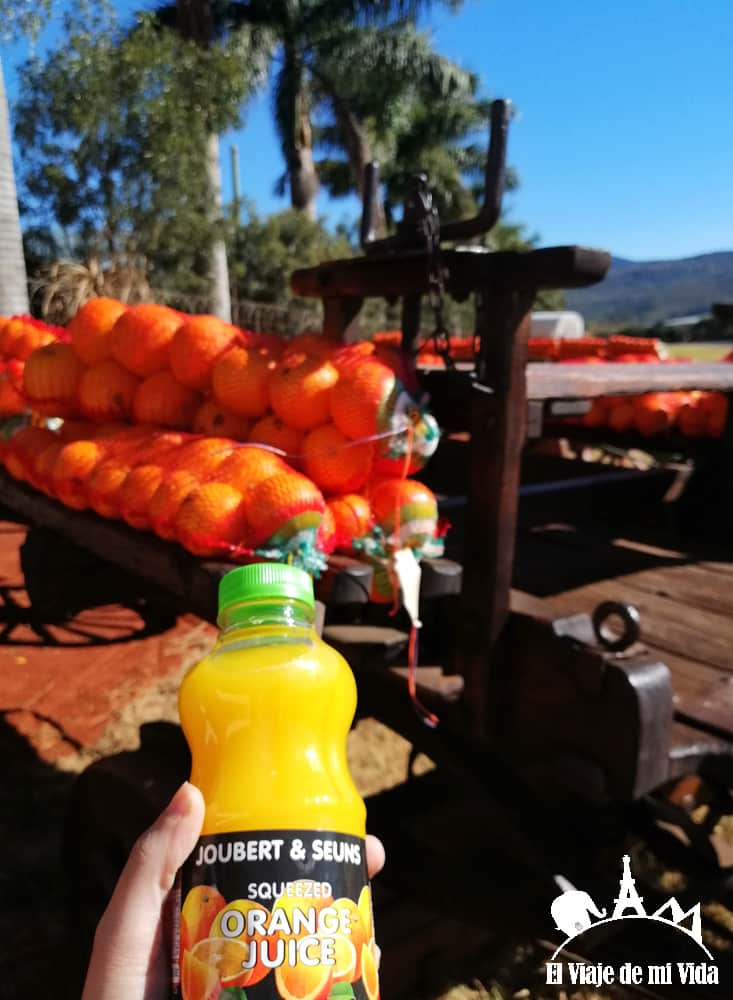 Naranjas de Mpumalanga