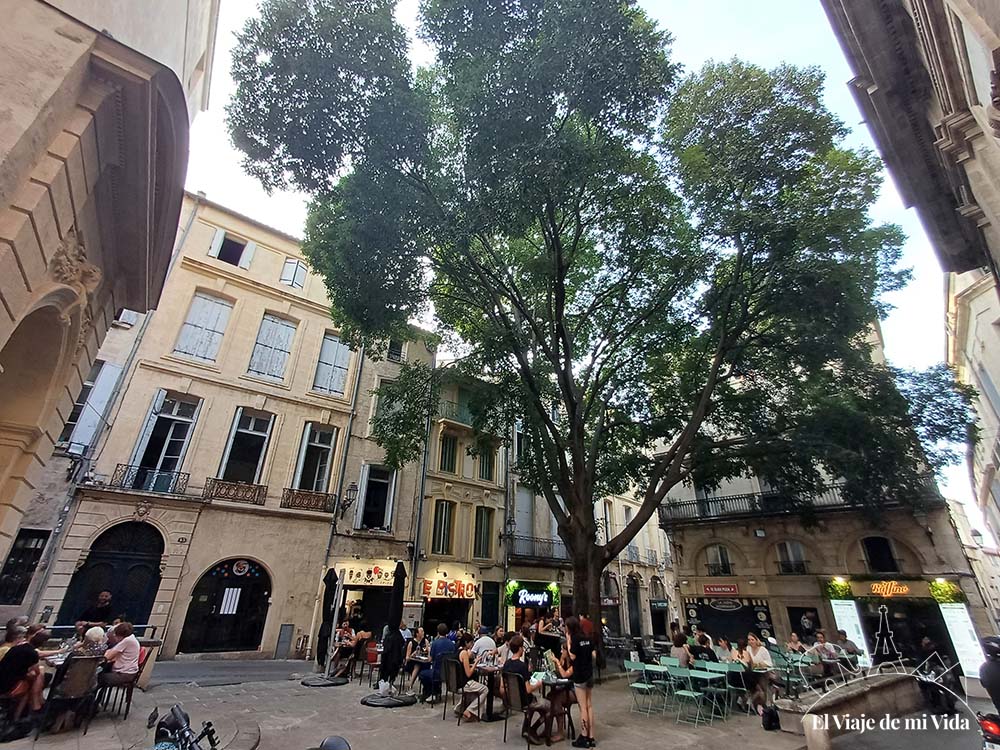 Terraceo en el centro de Montpellier
