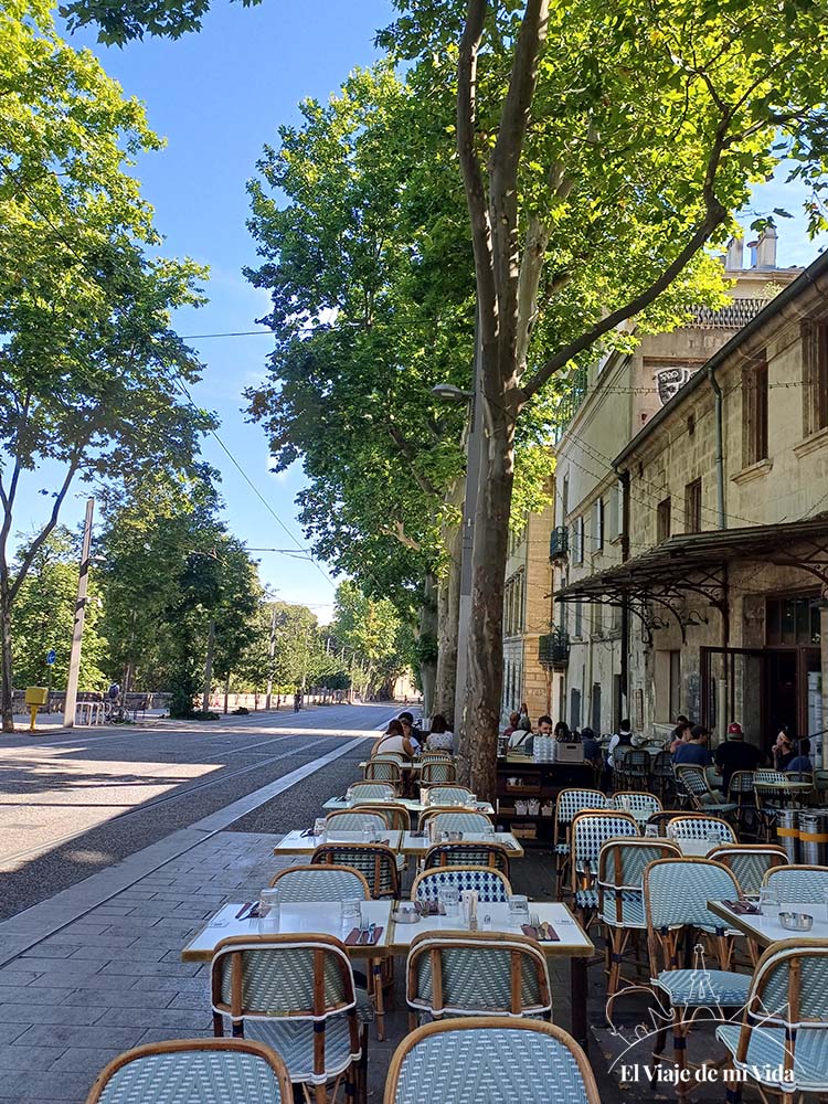 Terraceo en el centro de Montpellier