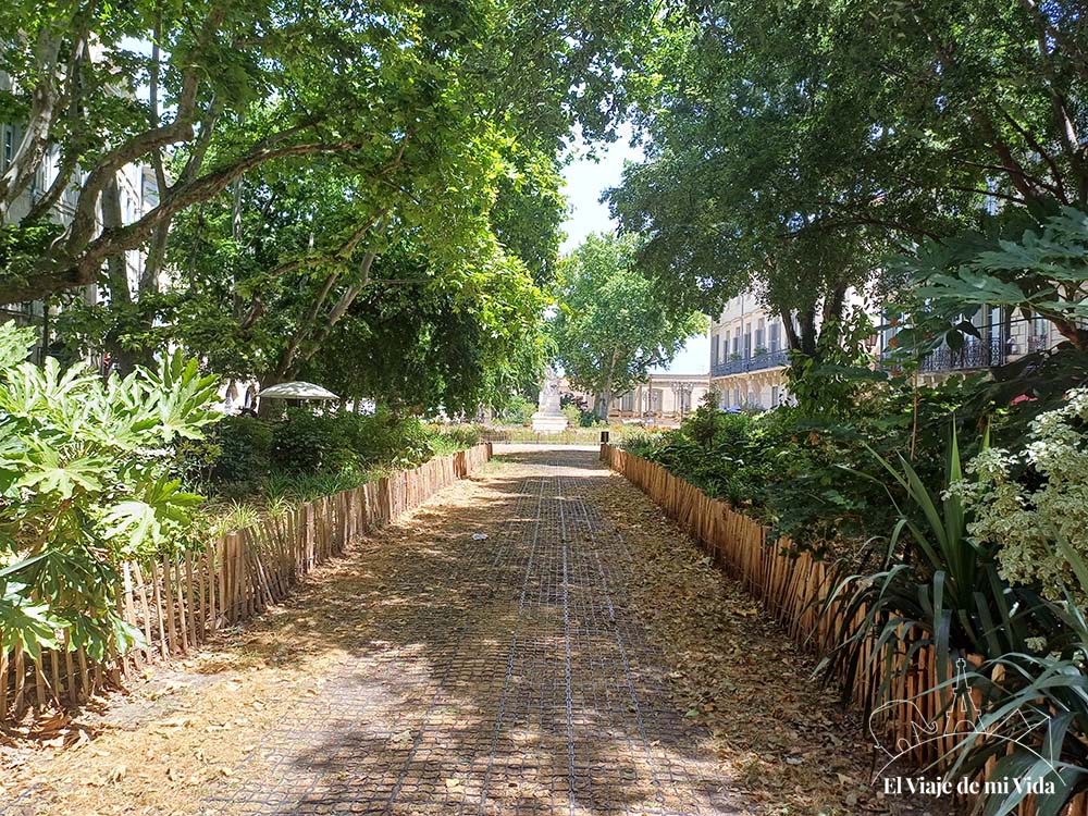 Jardin des Plantes