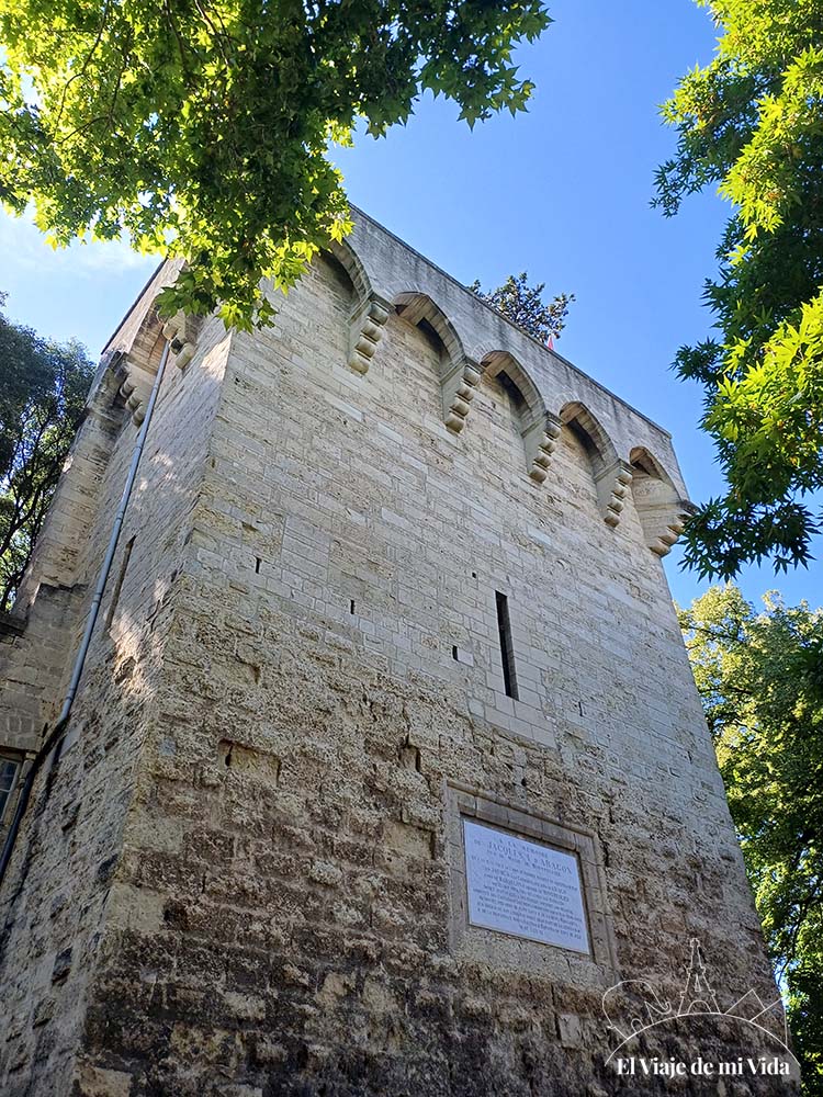 Tour les Pins