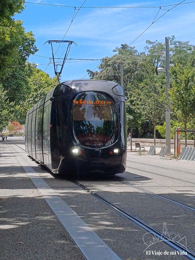 Los preciosos tranvías de Montpellier